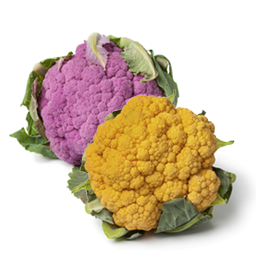 Coloured cauliflower