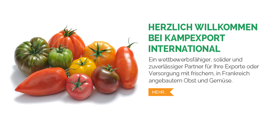 Kampexport International Tomates